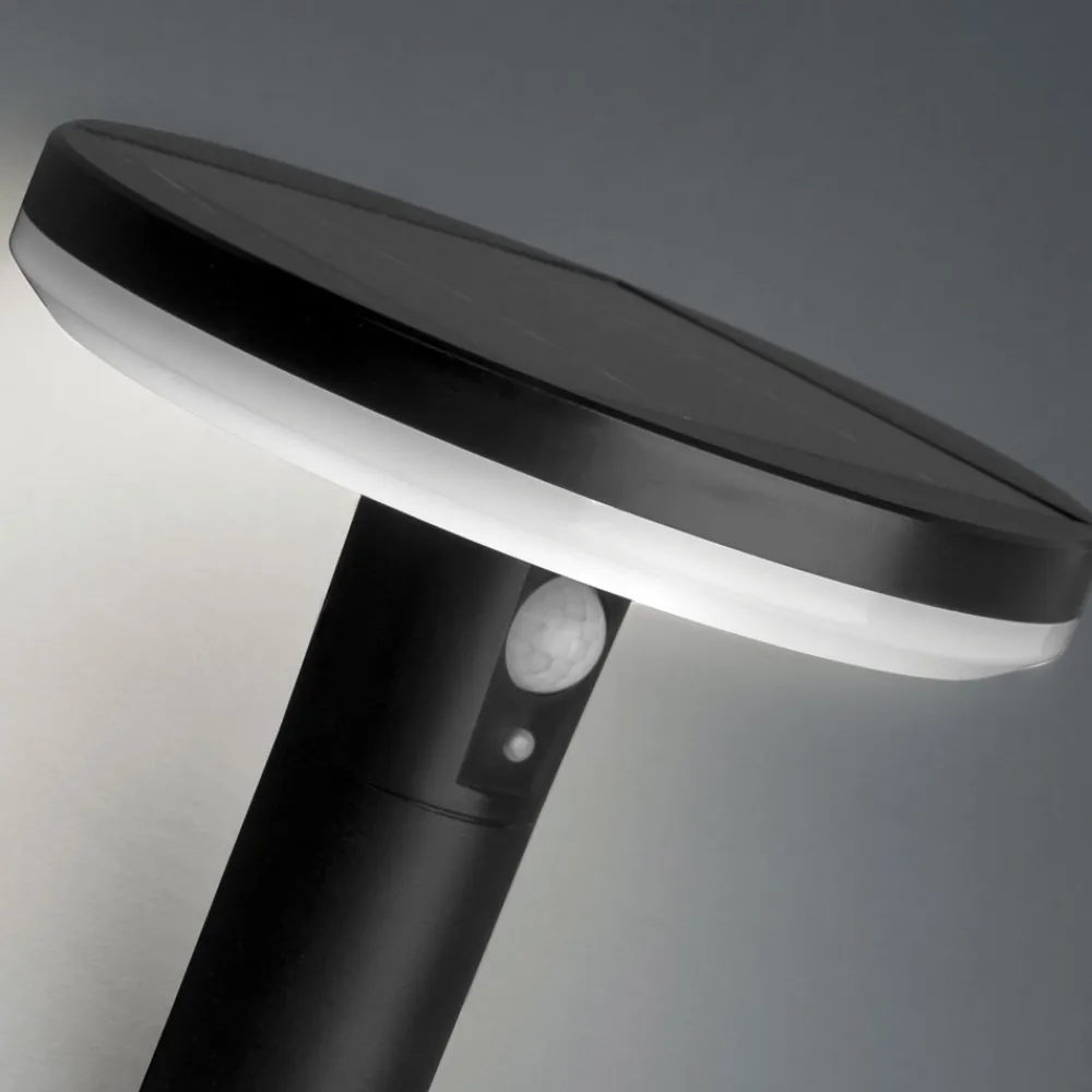 Applique Da Esterno-Selezionato da Mazzolaluce Applique esterno con pannello solare led 3,3w 6000k
