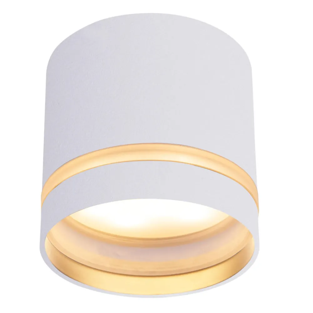 Faretti Da Soffitto-Selezionato da Mazzolaluce Faretto cilindro bianco da soffitto per interni