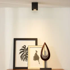 Faretti Da Soffitto-Selezionato da Mazzolaluce Faretto cubo da soffitto nero quadrato
