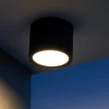 Faretti Da Esterno-Selezionato da Mazzolaluce Faretto da esterno a soffitto cilindro nero ip54