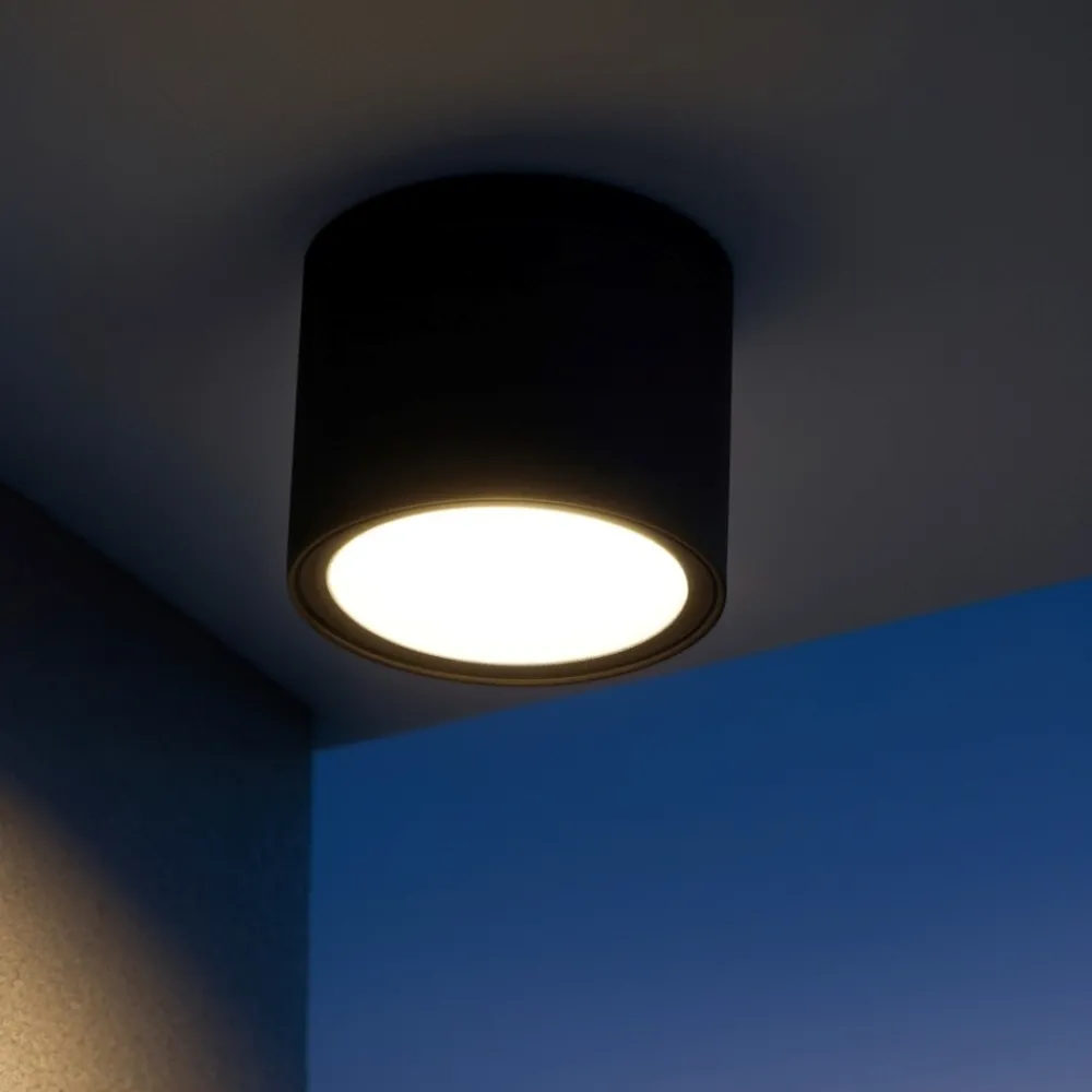 Faretti Da Esterno-Selezionato da Mazzolaluce Faretto da esterno a soffitto cilindro nero ip54