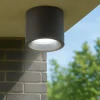 Faretti Da Esterno-Selezionato da Mazzolaluce Faretto da esterno grafite cilindro led 12w 4000k ip65