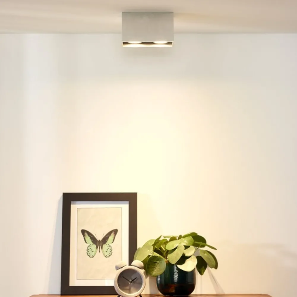 Faretti Da Soffitto-Selezionato da Mazzolaluce Faretto da soffitto cestello grigio i doppia luce