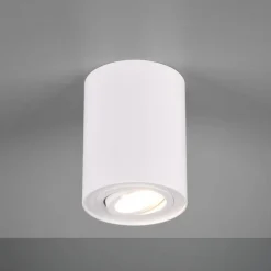 Faretti Da Soffitto-Selezionato da Mazzolaluce Faretto da soffitto moderno luce led orientabile bianco