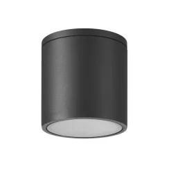 Faretti Da Esterno-Selezionato da Mazzolaluce Faretto per esterno da soffitto cilindro antracite