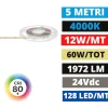 Strisce Led-Gea Luce bobina striscia led 5mt 12w-mt 4000k 24vdc