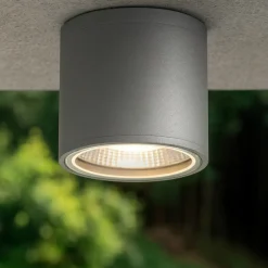 Faretti Da Esterno-Ideal Lux Gun pl1 faretto da esterno soffitto terrazza cilindro grigio ip44