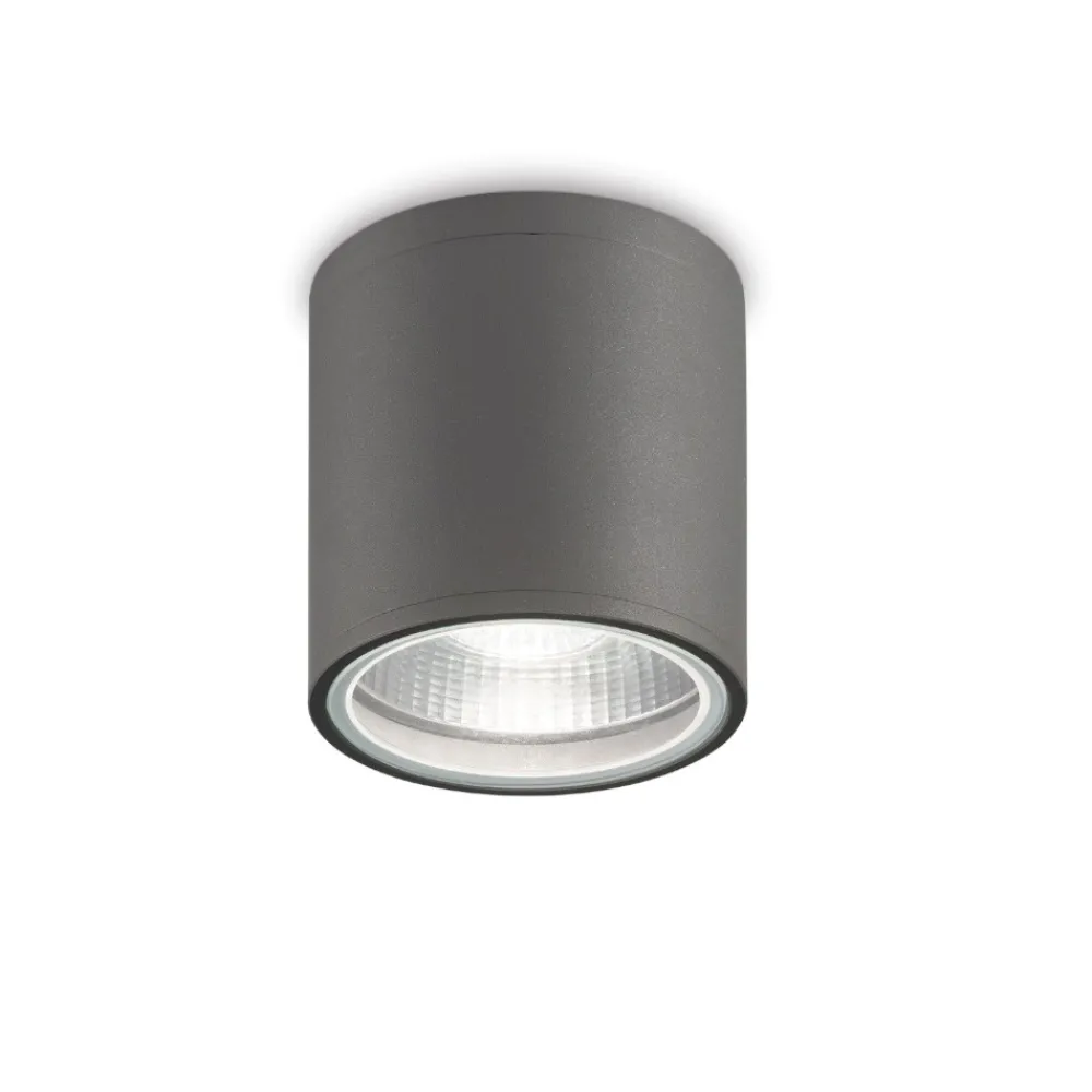 Faretti Da Esterno-Ideal Lux gun pl1 faretto da soffitto per esterno ip44 cilindro antracite
