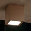 Faretti Da Esterno-Ideal Lux techo pl1 big faretto da esterno a soffitto marrone corten