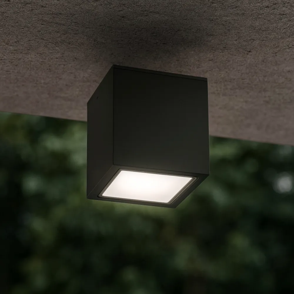 Faretti Da Esterno-Ideal Lux techo pl1 small faretto nero per soffitto da esterno ip54