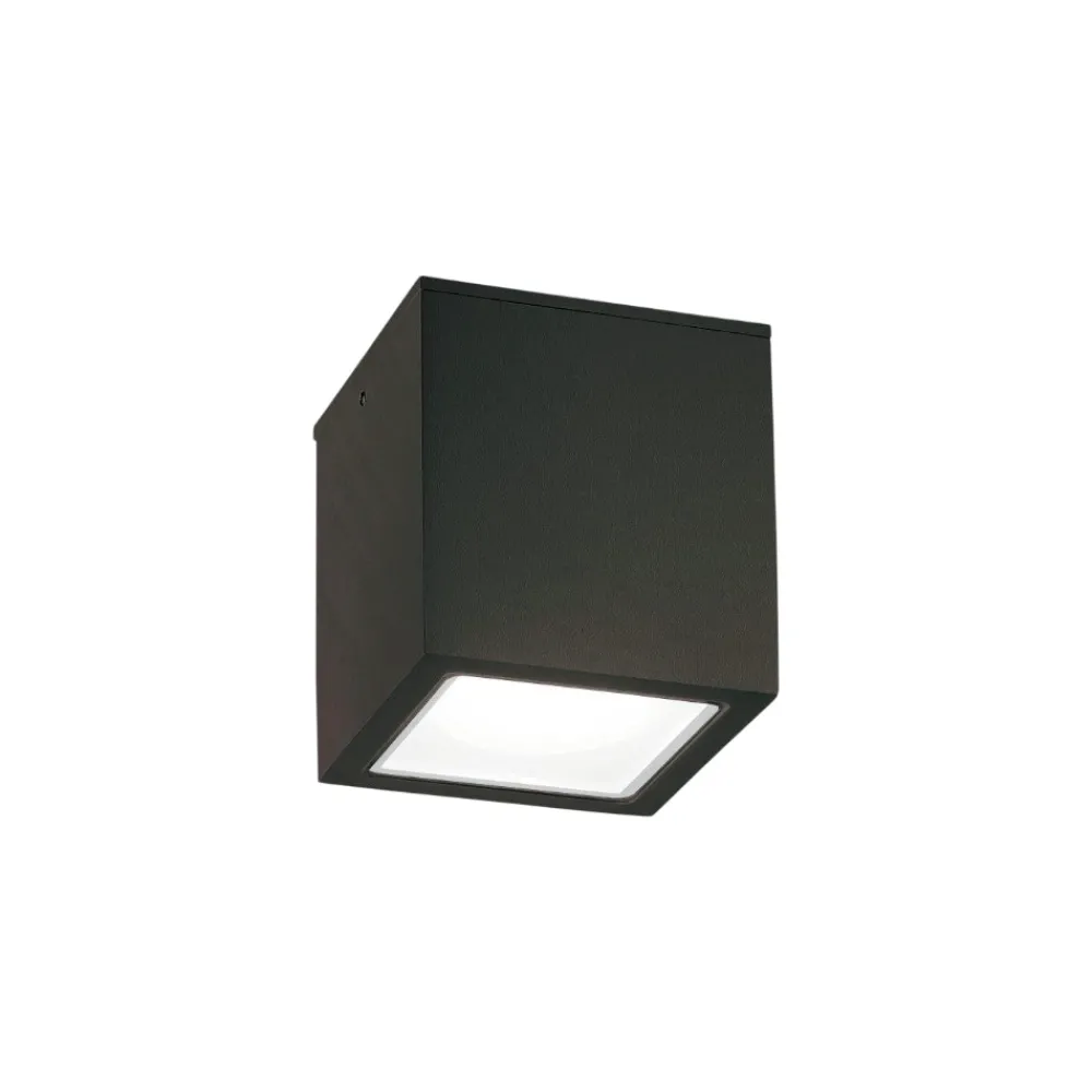 Faretti Da Esterno-Ideal Lux techo pl1 small faretto nero per soffitto da esterno ip54