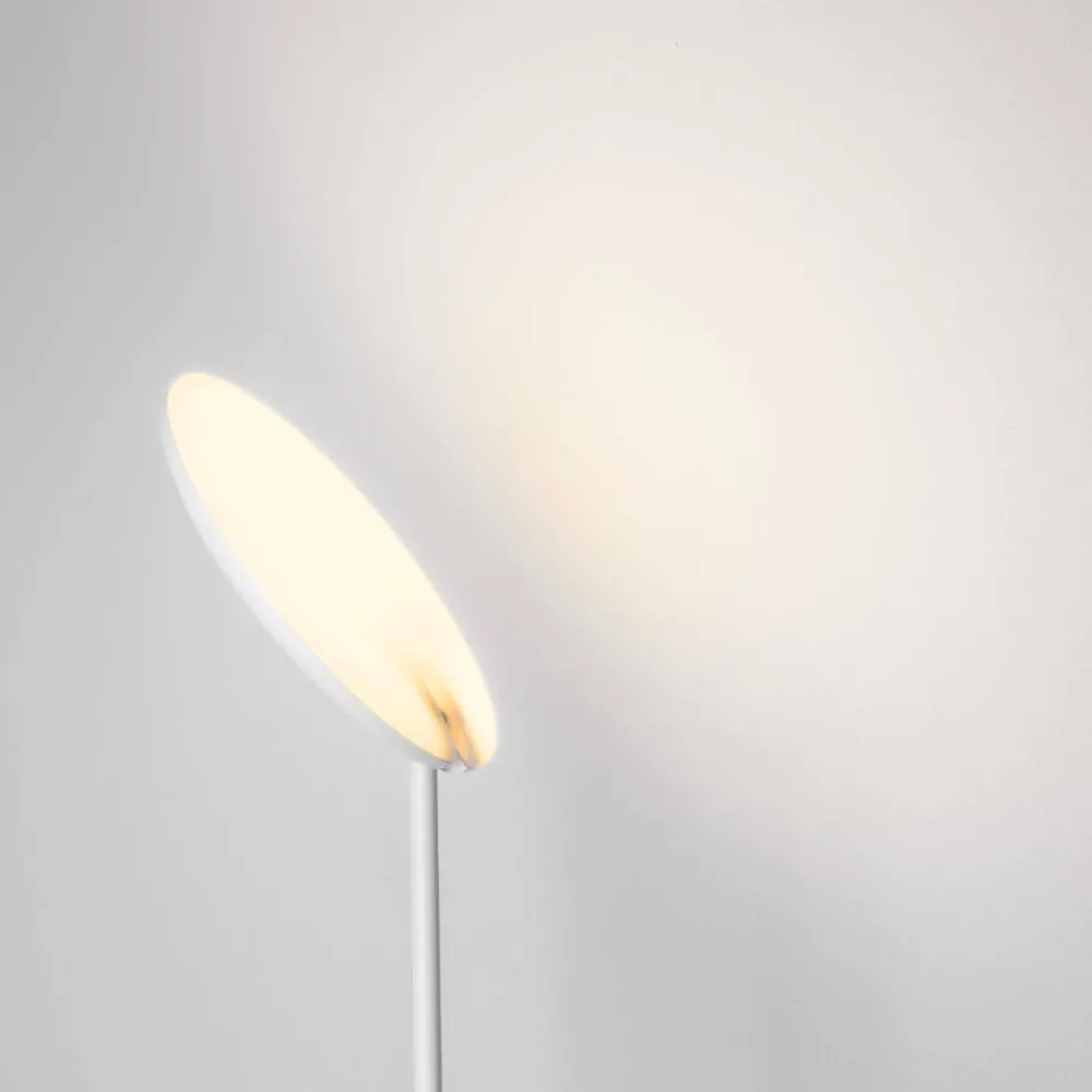 Lampade Da Terra-Selezionato da Mazzolaluce Lampada da terra a stelo bianca parabola orientabile led 3000k