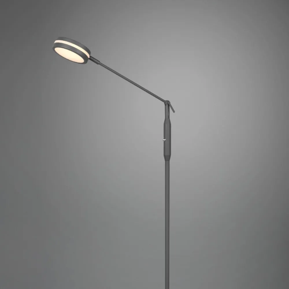 Lampade Da Terra-Selezionato da Mazzolaluce Lampada da terra moderna led da 2700k a 4000k antracite per ufficio