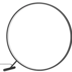 Lampade Da Terra-Selezionato da Mazzolaluce Lampada da terra moderna led 3000k circolare dimmerabile