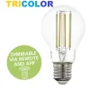 Lampadine Led-Eglo Lampadina e27 led 6w dimmerabile 2700k a 6500k bluetooth goccia trasparente