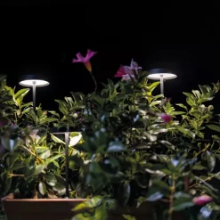 Lampioni Da Giardino-Linea Light Lampioncino da esterno pistillo nero led 3000k ip65