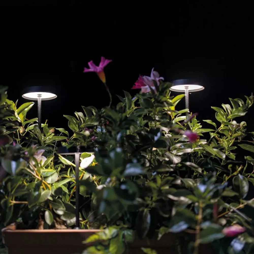 Lampioni Da Giardino-Linea Light Lampioncino da esterno pistillo nero led 3000k ip65