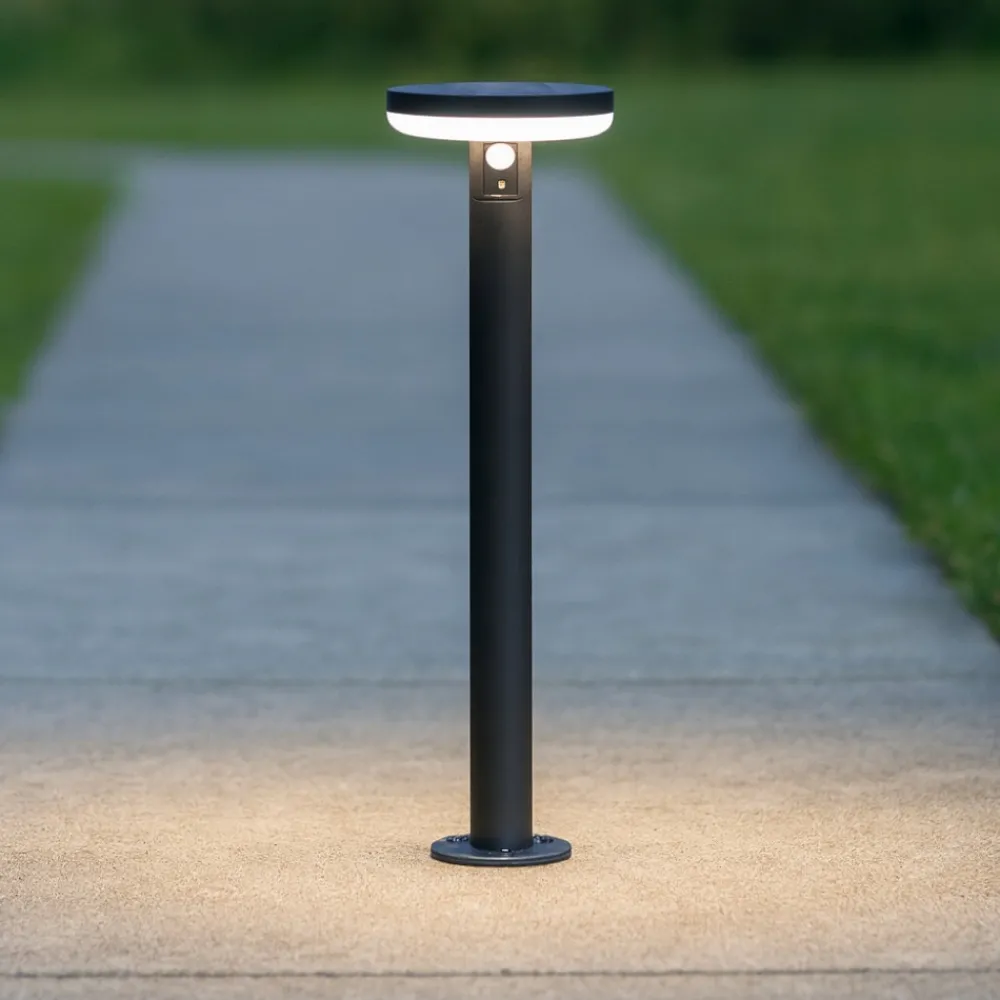 Lampioni Da Giardino-Selezionato da Mazzolaluce Lampione da giardino solare con picchetto led 3,3w 6000k ip44