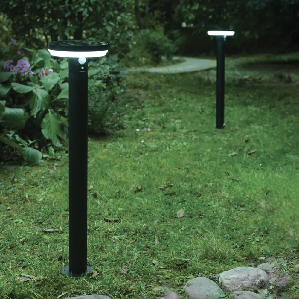 Lampioni Da Giardino-Selezionato da Mazzolaluce Lampione da giardino solare con picchetto led 3,3w 6000k ip44