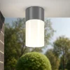 Faretti Da Esterno-Maytoni willis faretto grafite a soffitto da esterno tondo ip54