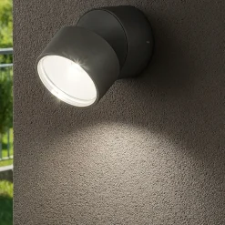 Faretti Da Esterno-Ideal Lux Omega ap round applique da esterno antracite ip54 7w 4000k orientabile