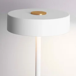 Lampade Da Terra-Selezionato da Mazzolaluce Piantana da terra led 3000k bianca moderna per salotto