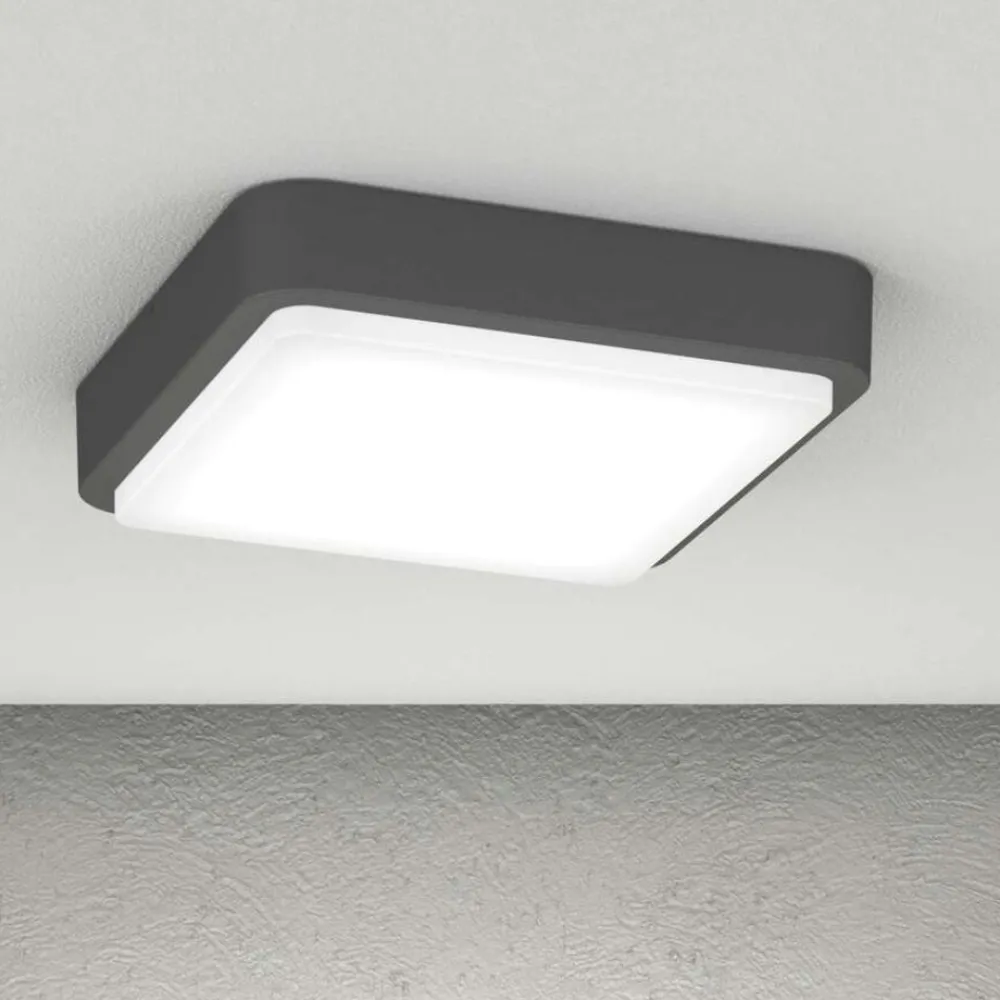 Plafoniere Da Esterno-Top Light Plafoniera antracite per esterno quadrata irvine