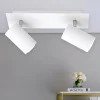 Plafoniere Moderne-Selezionato da Mazzolaluce Plafoniera con 2 faretti per salotto moderno