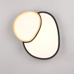 Plafoniere Moderne-Selezionato da Mazzolaluce Plafoniera moderna led 21w 2700k a 6500k nero oro con telecomando
