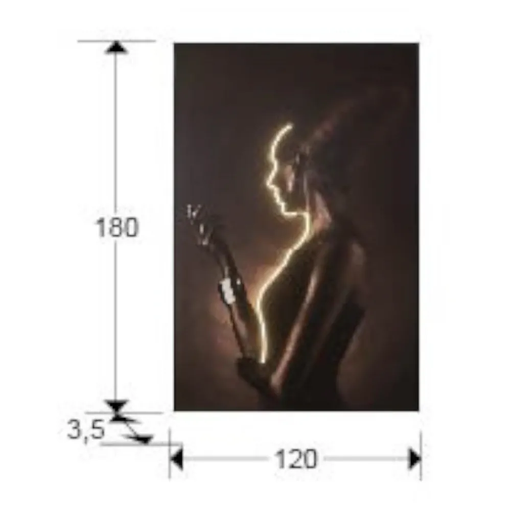 Quadri Moderni-Selezionato da Mazzolaluce Quadro con luce led profilo di donna 180x120 cm moderno luminoso fp