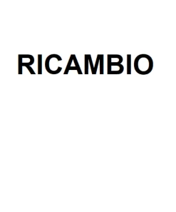 Accessori-Selezionato da Mazzolaluce Ricambio plexiglass per cod 9695286 ex ordine 244081