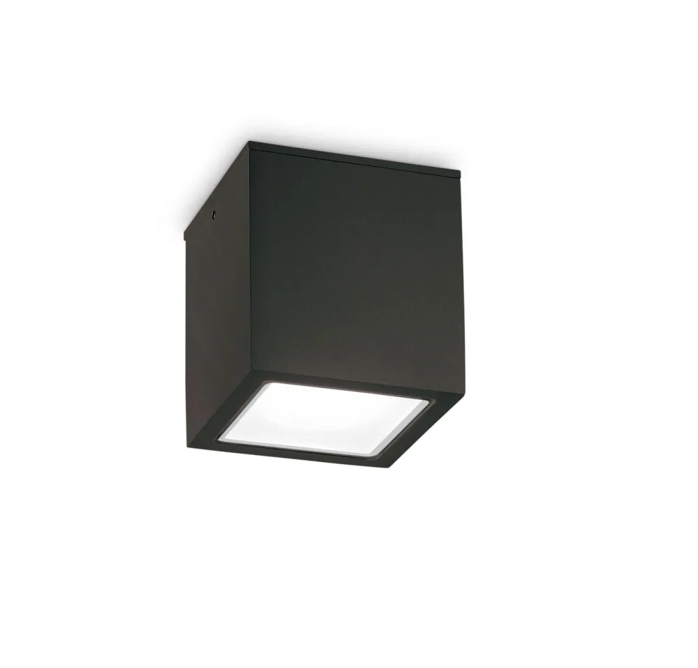 Faretti Da Esterno-Ideal Lux Techo pl1 big faretto da esterno ip54 cubo nero