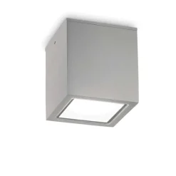Faretti Da Esterno-Ideal Lux Techo pl1 small faretto a soffitto da esterno girgio