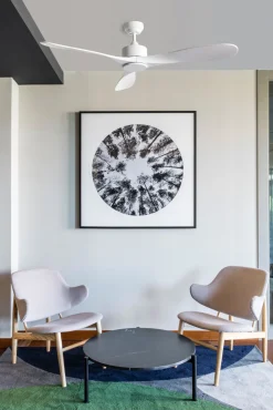 Ventilatori Da Soffitto-Selezionato da Mazzolaluce Ventilatore da soffitto bianco app smart tuya ambienti 17-28mq